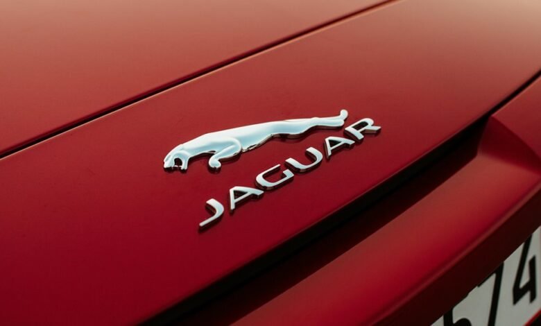 morzqux waterproof product review