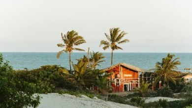 quemliga functionality and details