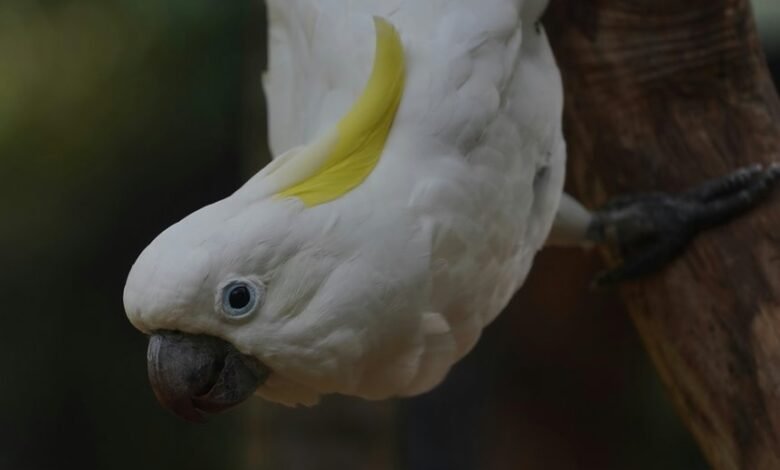 enterprise strategic intelligence overview