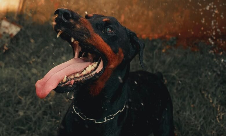 digital activity summary highlights and alerts