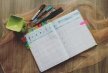 ip registry notes and feedback logs