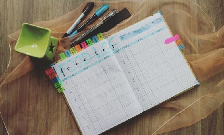 ip registry notes and feedback logs