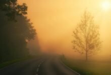 vertex lane opportunity beam