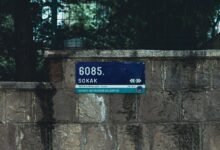 ip address geolocation guide