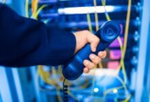 public ip lookup guide details
